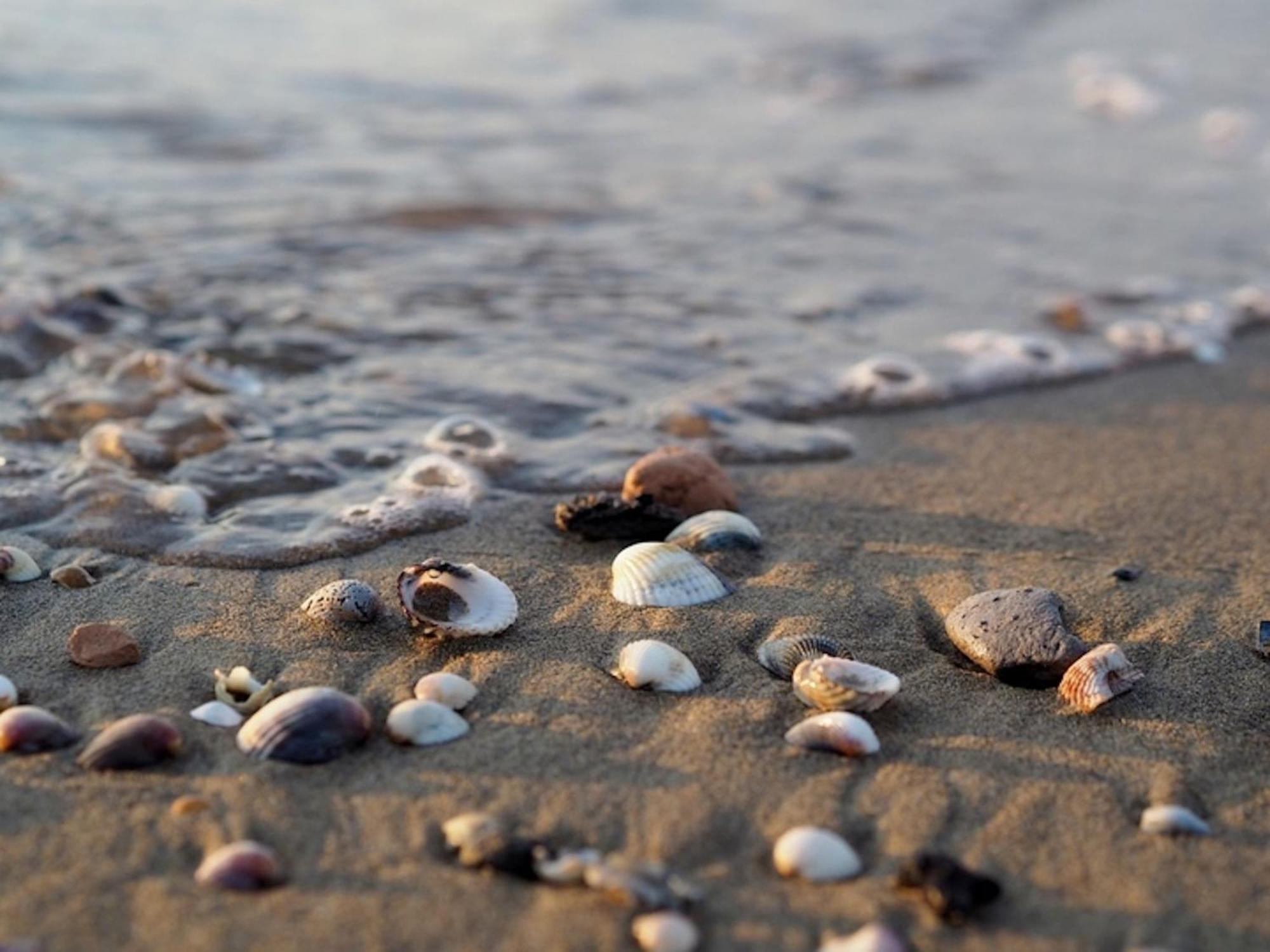 Warm And Bright In Near The Sea * Bibione
